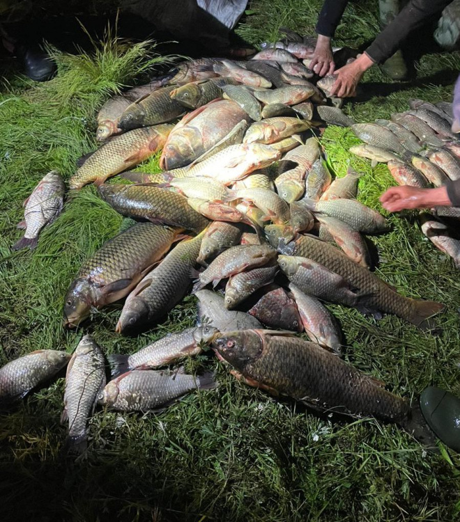 Рибний день: у Криворізькому районі троє рибалок витягли сітками понад центнер риби
