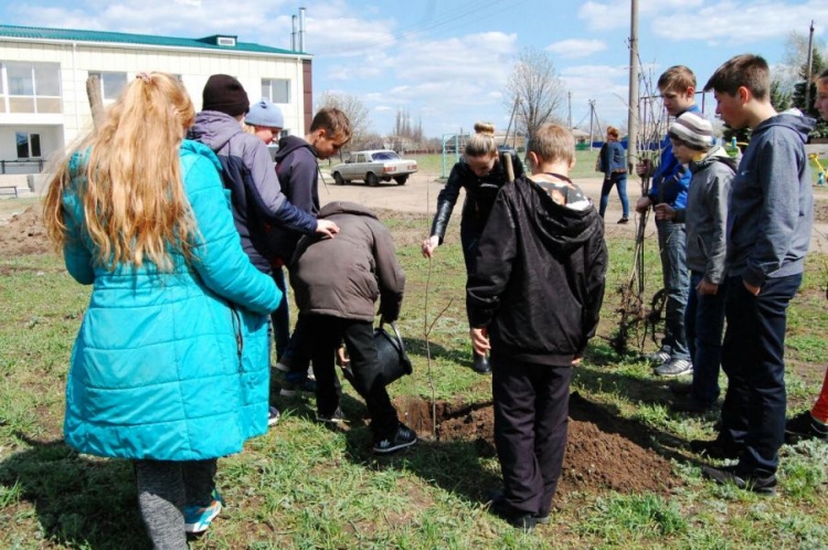 Школьники Широковского района в рамках акции "ЭкоЛайф" проводят озеленение (фото)