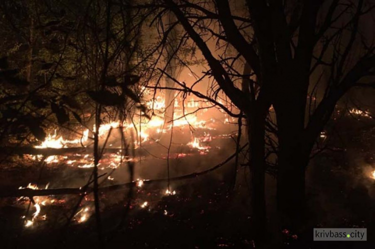 В Широковском районе выгорело 8 гектаров леса