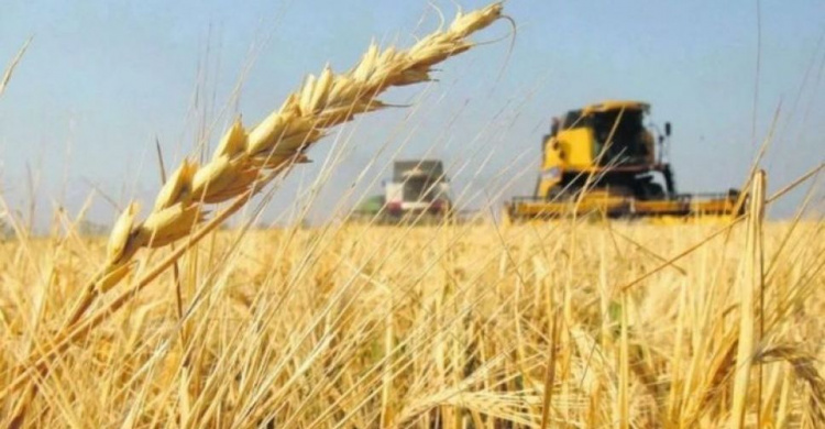 На Днепропетровщине собрали первый миллион тонн ранних зерновых