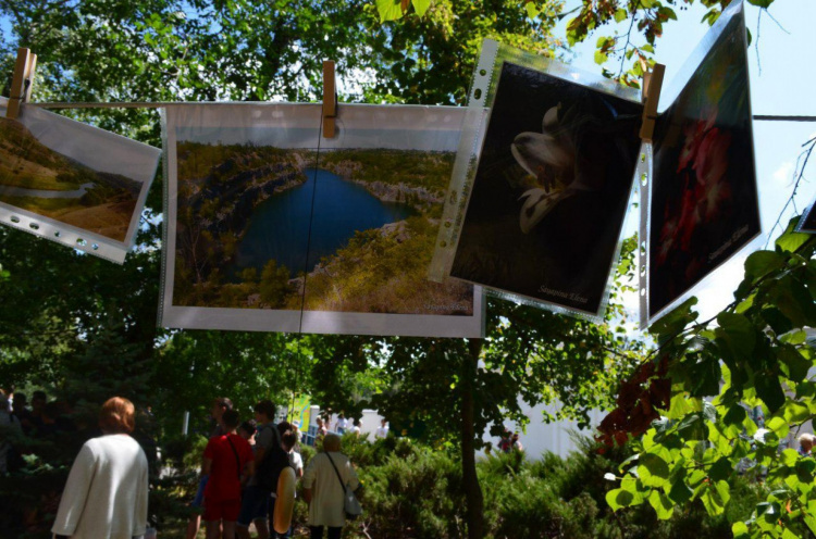 В Кривом Роге прошла выставка снимков под названием «Фотосушка» (ФОТО)