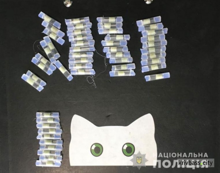 В Кривом Роге поймали 21-летнего парня с 50 дозами наркотиков