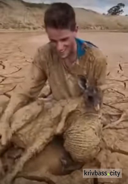 Австралийцу пришлось вываляться в грязи, чтобы спасти кенгуру (ФОТО+ВИДЕО)