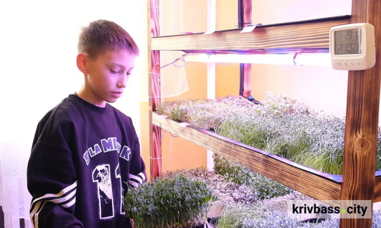 Криворізькі школярі вирощують мікрозелень, навчаються підприємництву та допомагають ЗСУ (відео)