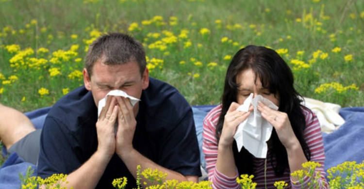 Среди криворожан растет заболеваемость аллергией