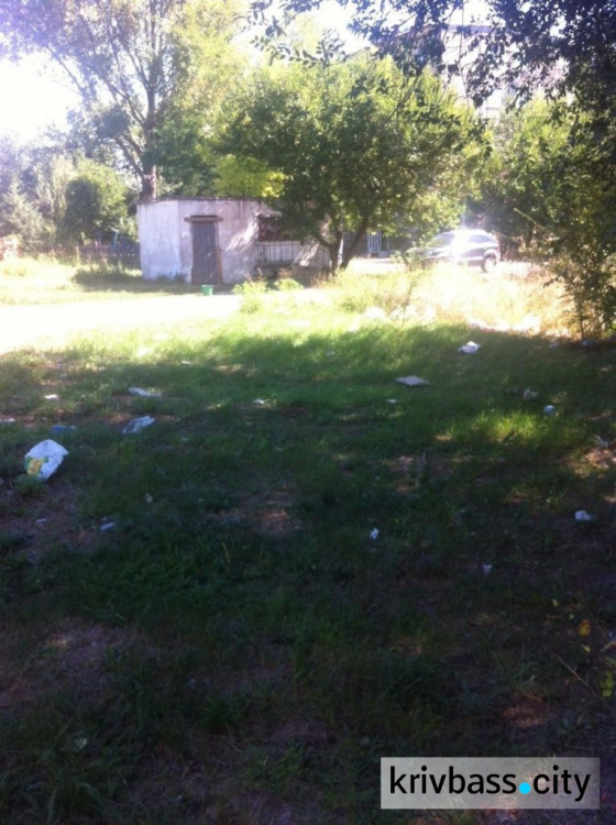 В Кривом Роге проводят проверки мусорных площадок во дворах (ФОТО)