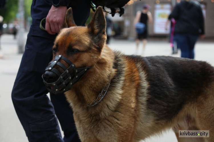 Криворізькі кінологи пропонують проводити спільне патрулювання поліції з собаками