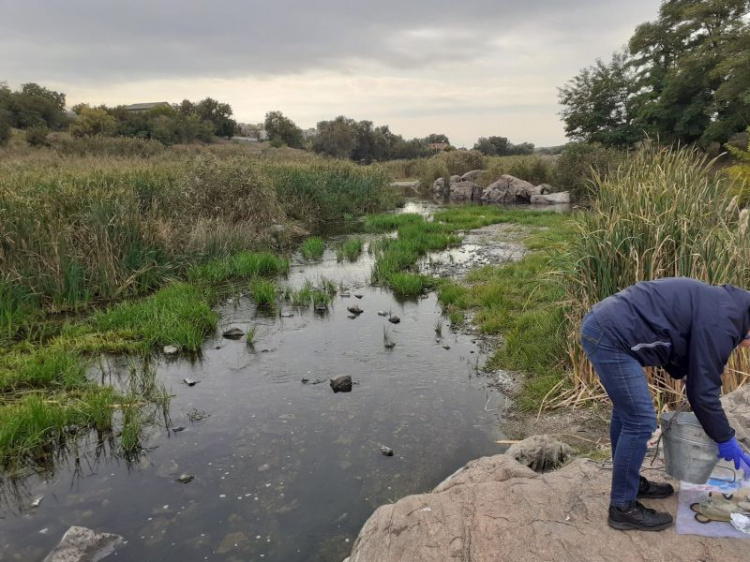 Экологи Кривого Рога обеспокоены состоянием реки Ингулец: ручеек, обнаженное дно и  тина