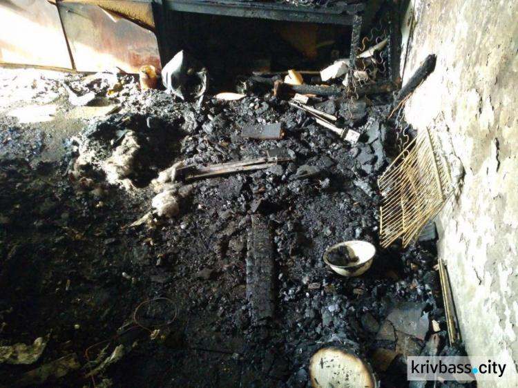 В Кривом Роге горела многоэтажка: есть погибшие и пострадавшие (ФОТО)