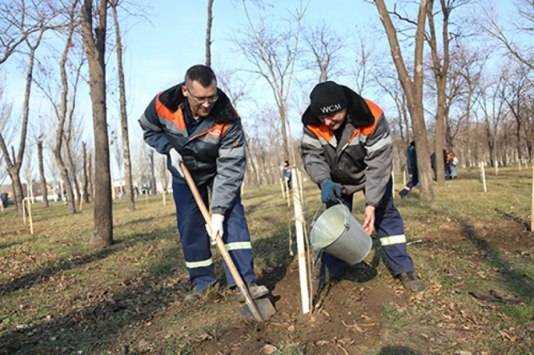 1000 деревьев для города: крупное промышленное предприятие в Кривом Роге проводит экологическую акцию
