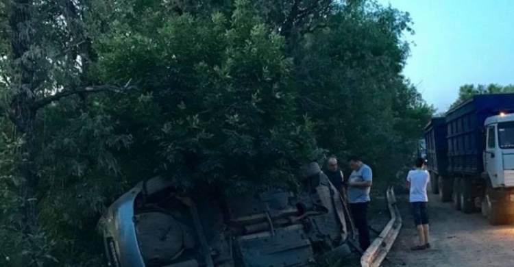 Житель Кривого Рога вместе с сыном перевернулся в автомобиле в Херсонской области