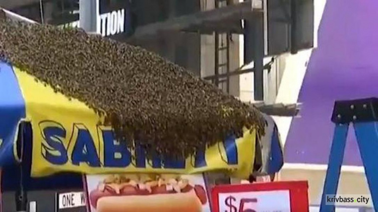 В центре Нью-Йорка рой пчел напал на палатку с хот-догами (ФОТО+ВИДЕО)