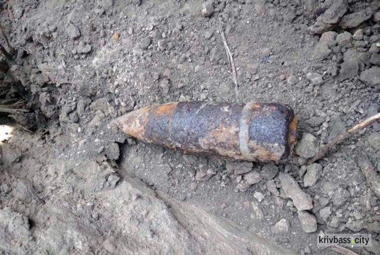 Житель Кривого Рога обнаружил боеприпас на собственном земельном участке