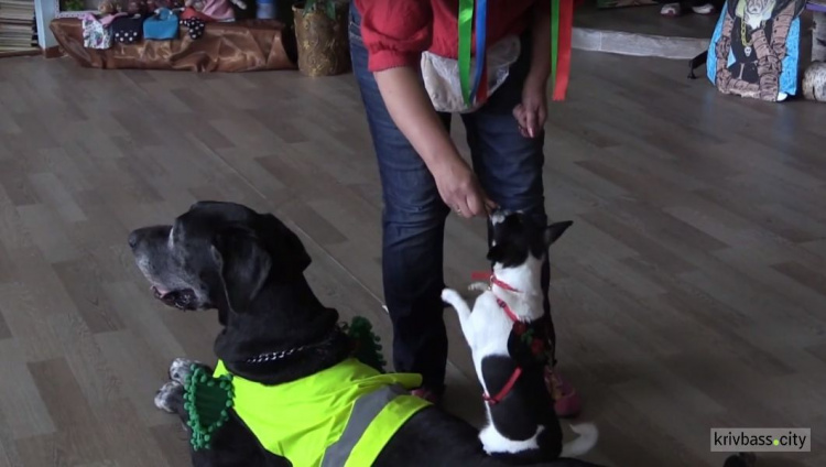 Для маленьких жителей Кривого Рога показали сказку с участием собак (ФОТО)