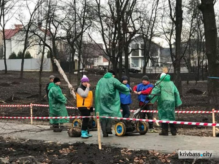 Криворожане высадили более 300 деревьев в Гданцевском парке