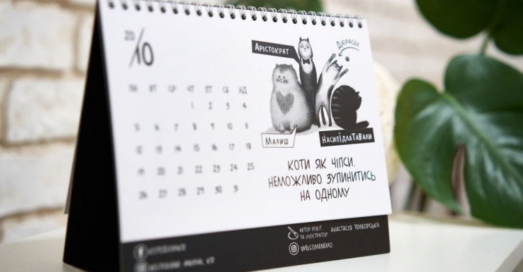 Коти, як чіпси, важко зупинитися на одному: у Кривому Розі випустили благодійний "котячий" календар