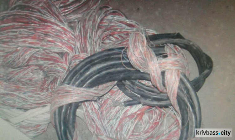 Полиция задержала мужчину, похитившего 200 метров кабеля (ФОТО)