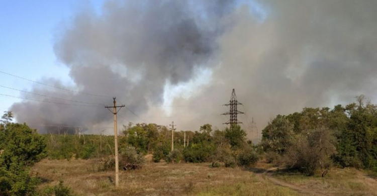 Жителей Кривого Рога призвали не сжигать сухую растительность, чтобы избежать пожара