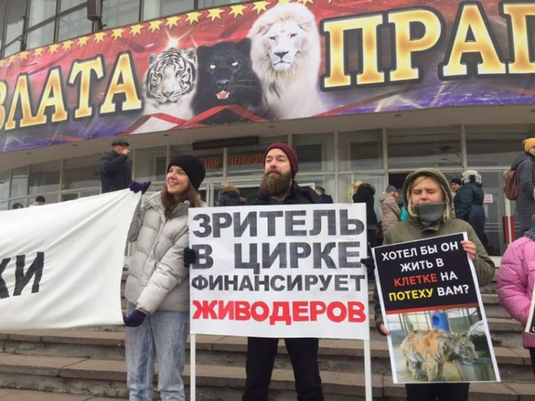 В Кривом Роге зоозащитники пикетировали цирк (фото)