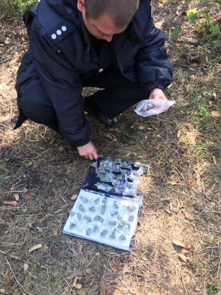 В Кривом Роге полиция изъяла у криворожанина 50 пакетиков с каннабисом