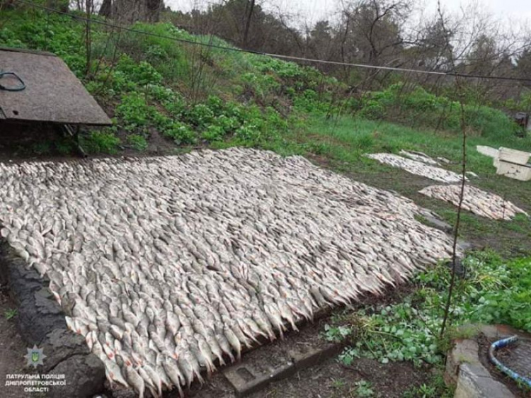 Ущерб 85 000 гривен: на Днепропетровщине задержали браконьеров (фото)
