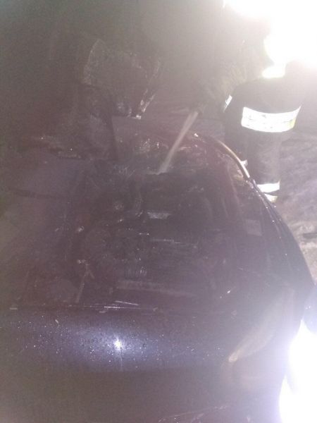 Сегодня ночью в Кривом Роге горело авто (фото)