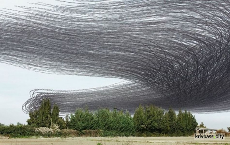 Фотограф создал уникальные снимки птичьих полетов (ФОТО)