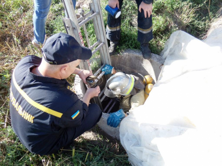 Материнская любовь: на Днепропетровщине собака ждала пока спасатели вызволят из ямы ее щенков