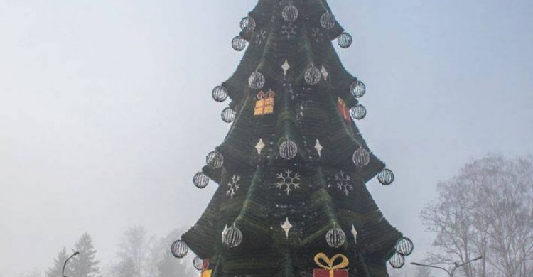 Восемнадцатиметровая красавица: в Кривом Роге заканчивают украшать главную новогоднюю елку