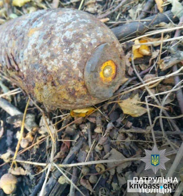 В Кривом Роге грибник нашел в посадке минометную мину (ФОТО)