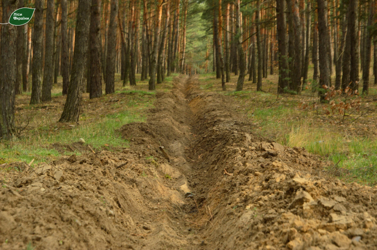 Убезпечити ліси від пожеж: як на Дніпропетровщині готуються до пожежонебезпечного періоду