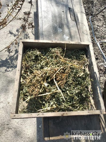 Под Кривым Рогом у местного жителя изъяли сушёные растения конопли