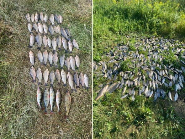 Фото: Дніпропетровський рибоохоронний патруль
