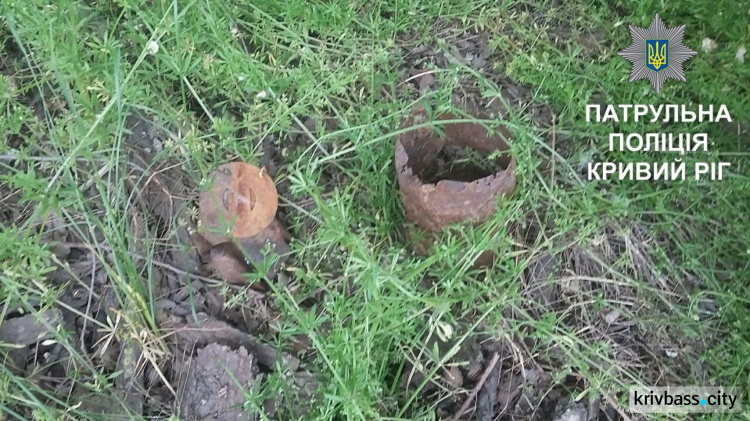 Опасная находка: в лесополосе Кривого Рога обнаружены мины (ФОТО)
