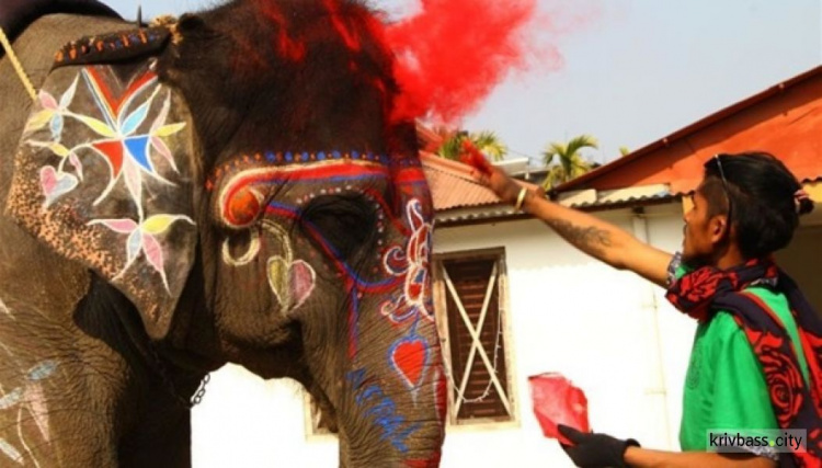 В Непале провели конкурс красоты для слонов (ФОТО)