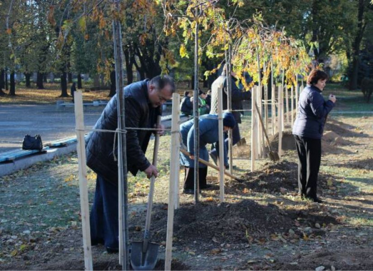 Рябиновая аллея: в Кривом Роге высадили деревья по инициативе солдатских матерей (ФОТО)