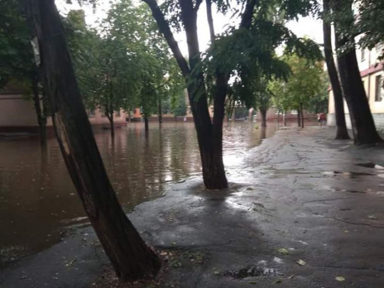 Кривой Рог после дождя превратился в Венецию (фото)