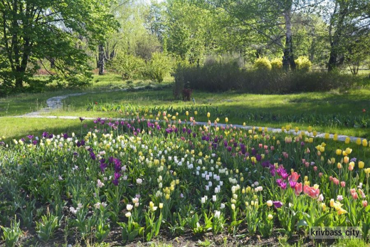 Весна у ботанічному саду: красива і ароматна