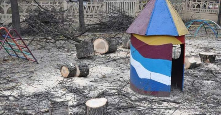 Территорию детского сада № 44 Кривого Рога очистили от аварийных деревьев (ФОТО)