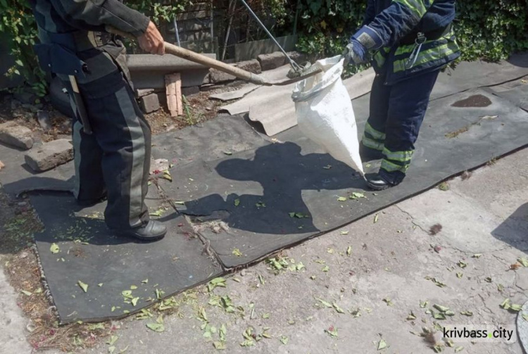 В частном доме в Ингулецком районе спасатели поймали змею