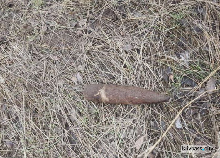 Жители Кривого Рога обнаружили взрывоопасный предмет и сообщили в полицию (ФОТО)