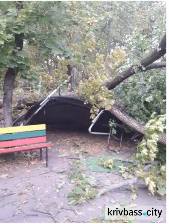 В центральном парке Кривого Рога на детскую площадку рухнуло дерево (ФОТО)
