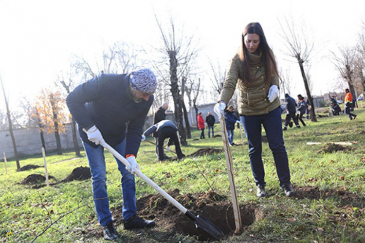 1000 деревьев для города: крупное промышленное предприятие в Кривом Роге проводит экологическую акцию