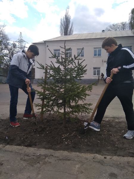 Более тысячи деревьев, кустов и цветов высадили ученики в Кривом Роге (фото)