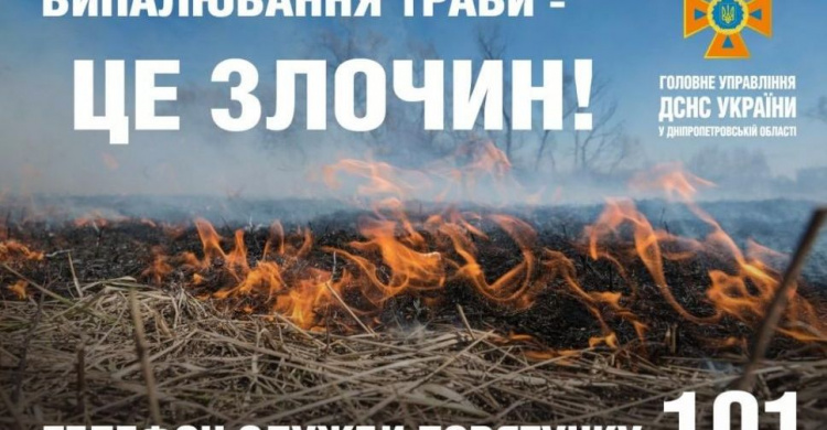 Причини пожеж в екосистемах – спалення сміття та сухостою