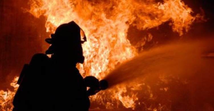 Под Кривым Рогом спасатели ликвидировали лесной пожар