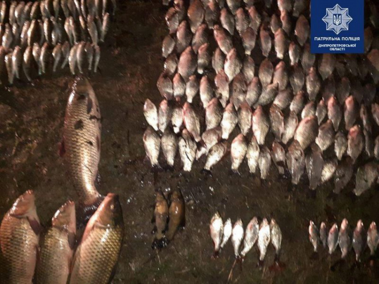 На Днепропетровщине выявили браконьеров с уловом на сумму более 100 тысяч гривен (фото)