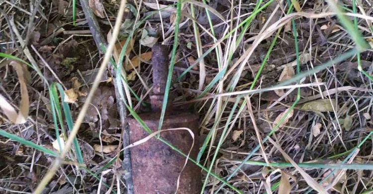 В Криворожском районе мужчина искал металл, а нашел гранату (фото)