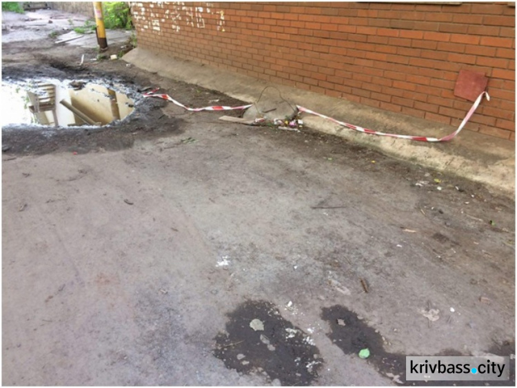 Бесконечные ямы, заросли и мусор: криворожане просят привести в порядок двор на улице Есенина  (ФОТО)