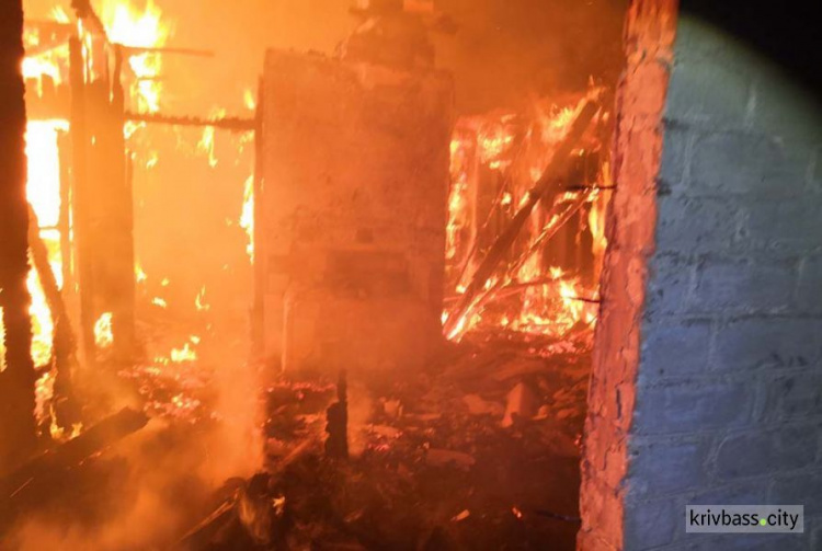 Под Кривым Рогом из-за пожара почти полностью уничтожен частный дом